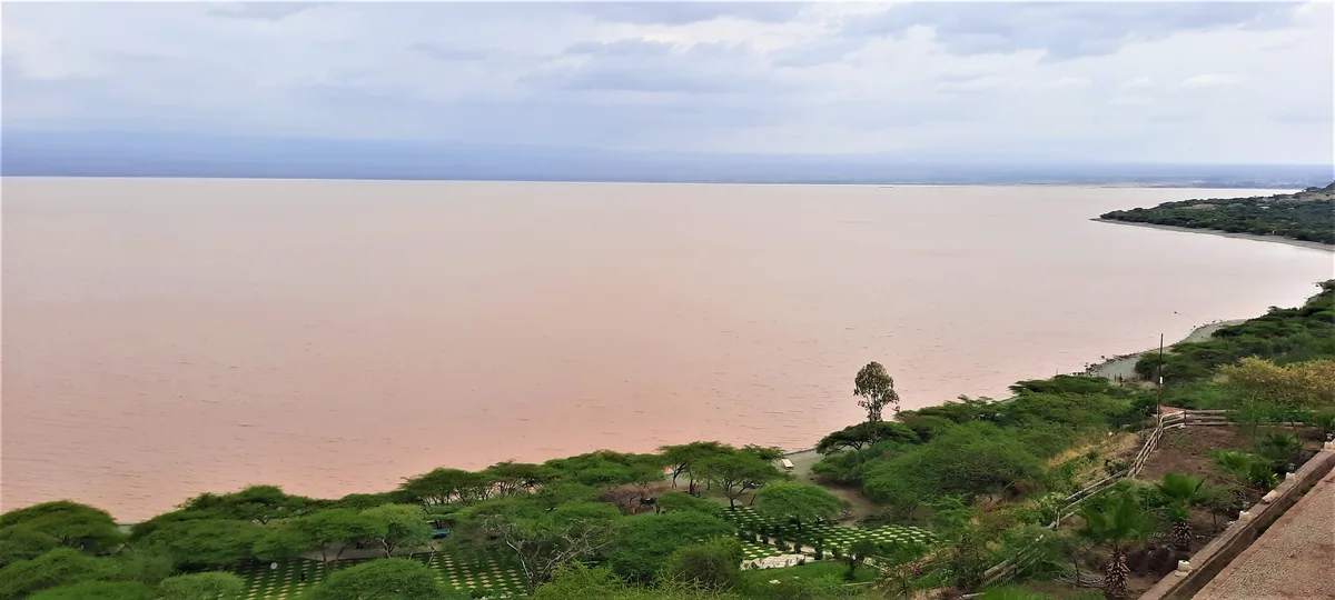 Birds, Boats, and Hippos: A Morning on Lake Ziway  view 3