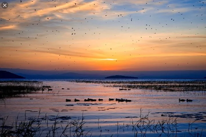 Birds, Boats, and Hippos: A Morning on Lake Ziway  view 5
