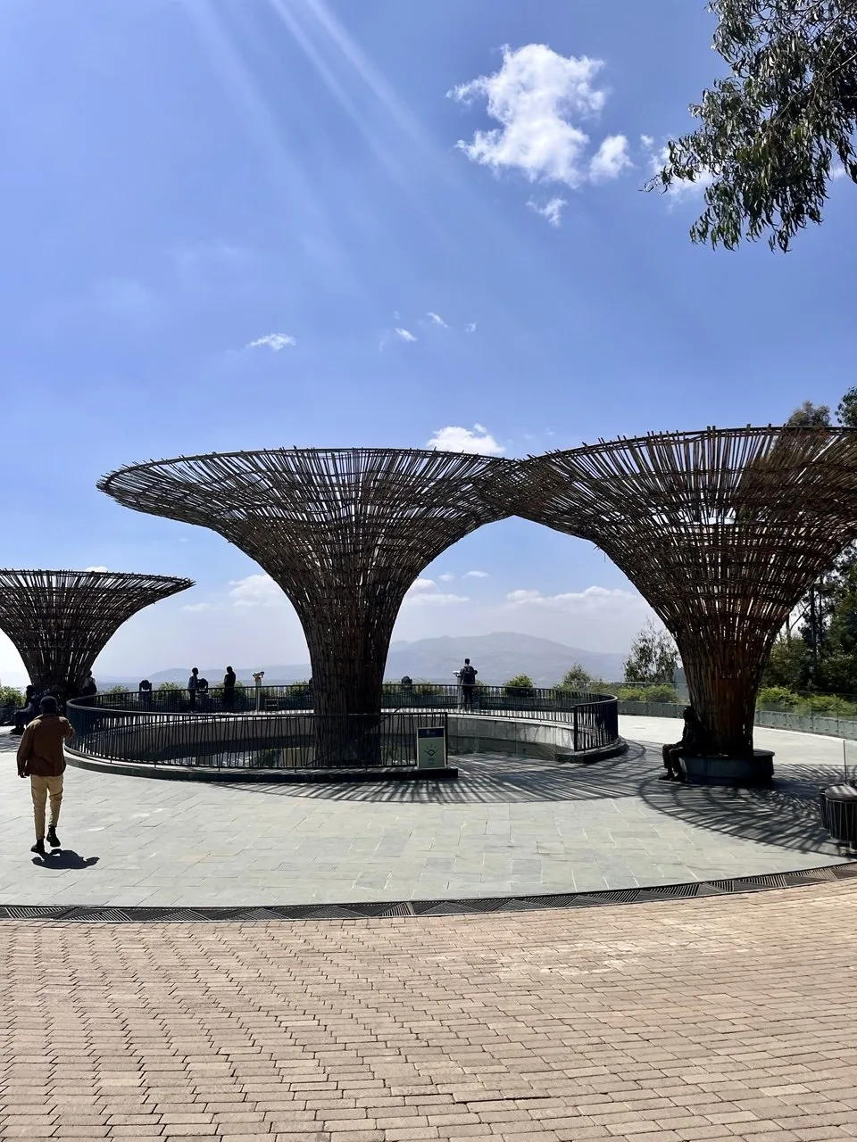Hiking at  Entoto Park