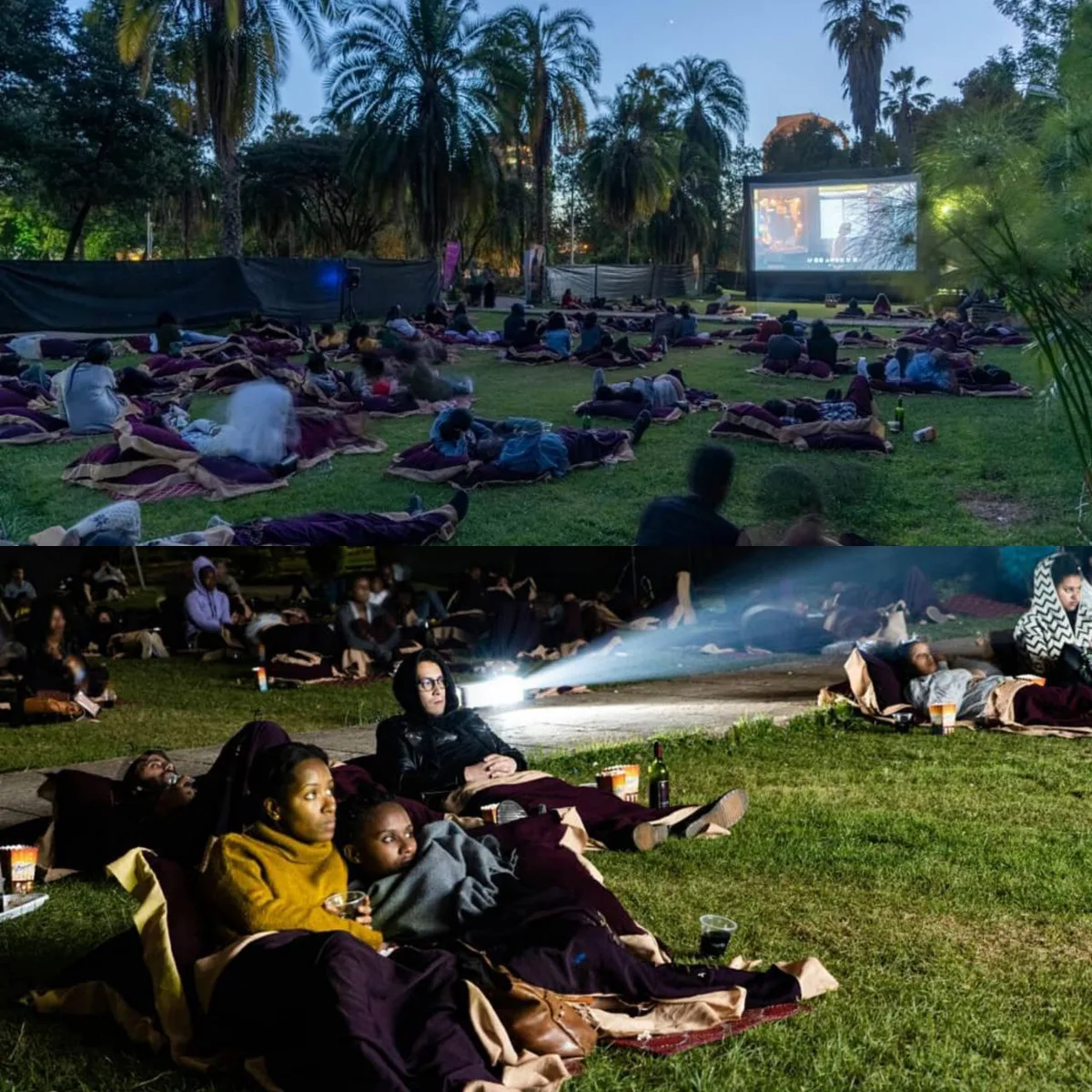 Ghion Hotel - Open-air cinema   view 3