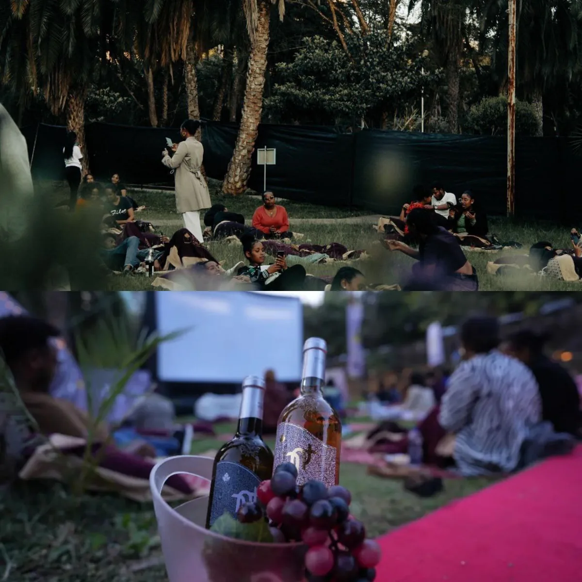 Ghion Hotel - Open-air cinema   view 2