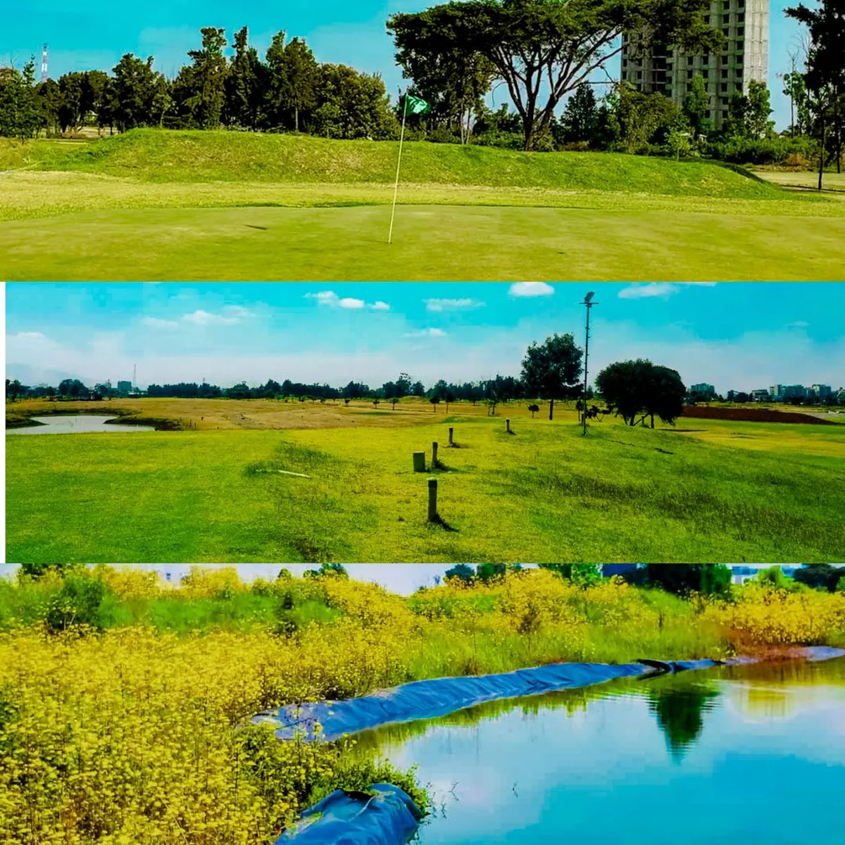🌿 The Addis Ababa Golf Club  view 3