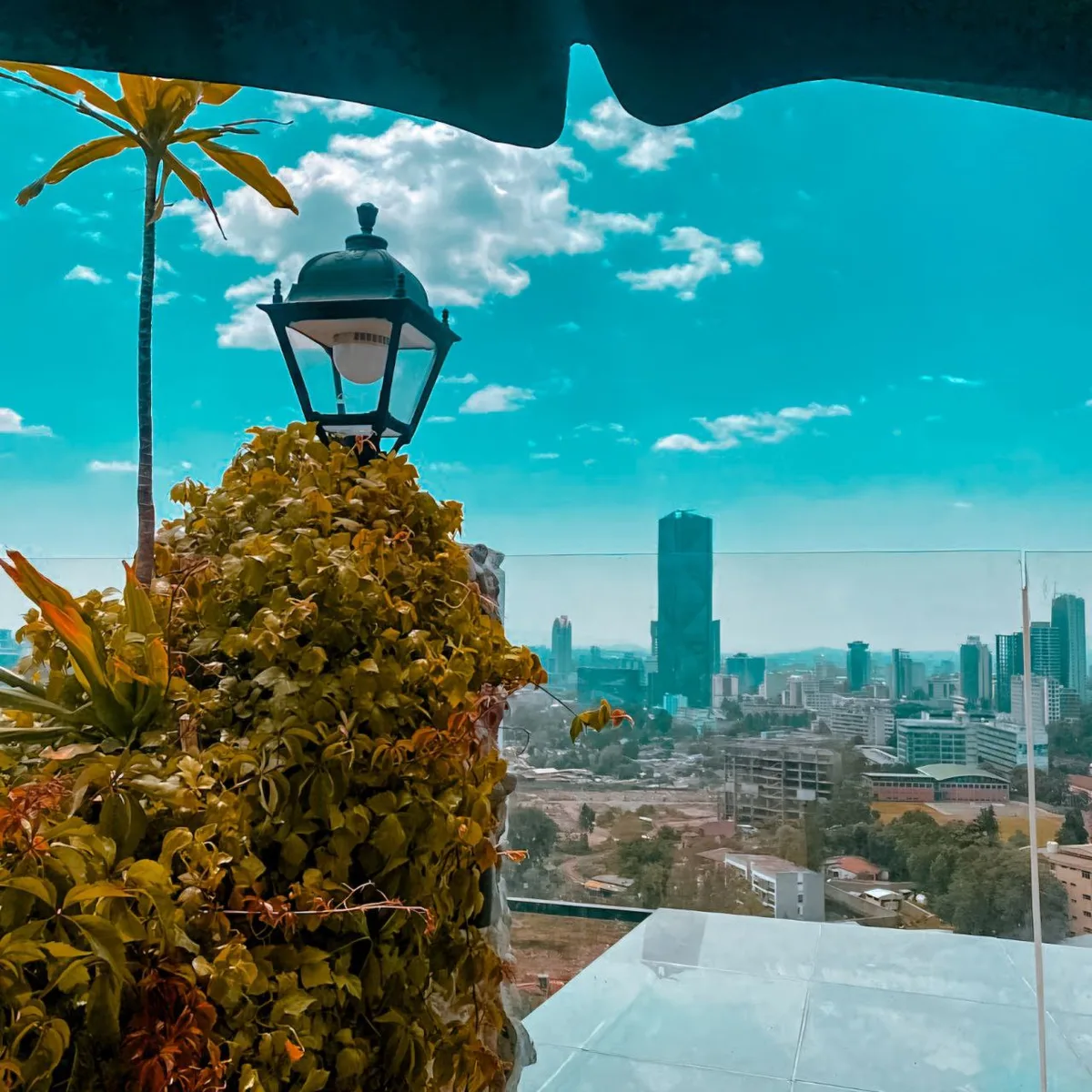 Skyline Magic and City Lights 🏙️  view 6