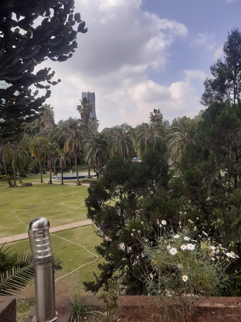 Ghion Hotel | Stadium in Addis Ababa  view 4