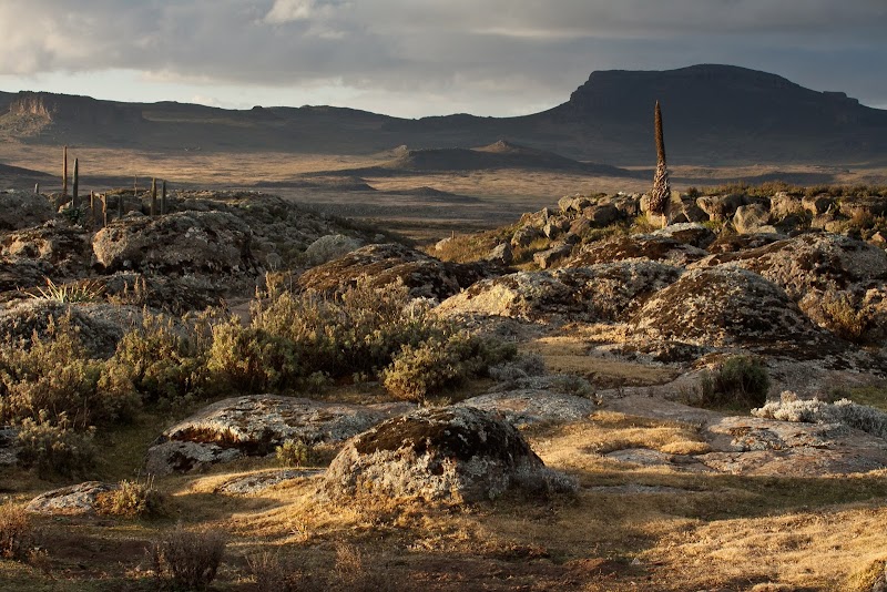 Bale Mountains National Park in Bale, Oromia, Ethiopia  view 5