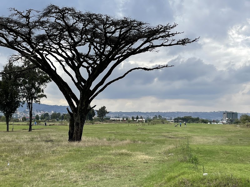 Addis Ababa Golf Club in Addis Ababa  view 4
