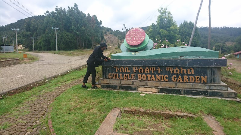Gulele Botanical Garden in Addis Ababa  view 2