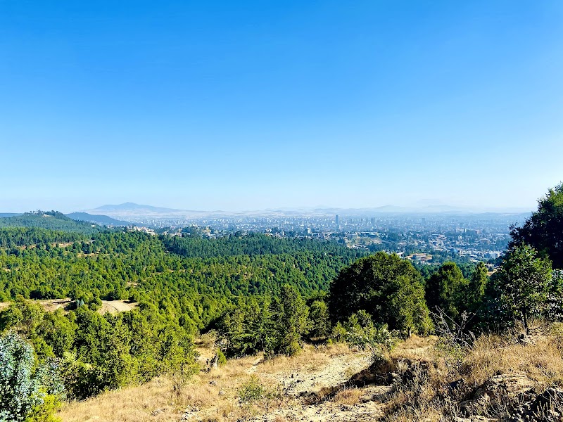 Gulele Botanical Garden in Addis Ababa  view 3