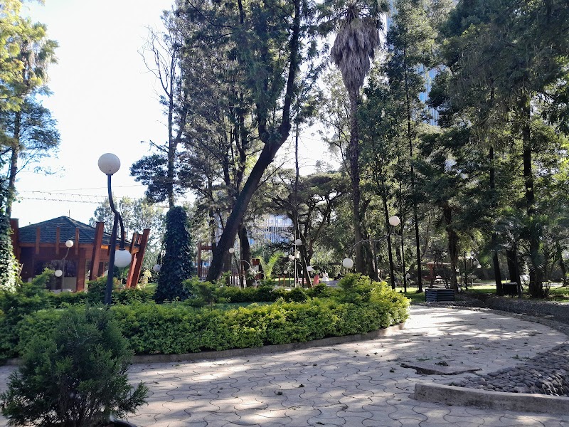 Ambassador Park in Addis Ababa  view 4