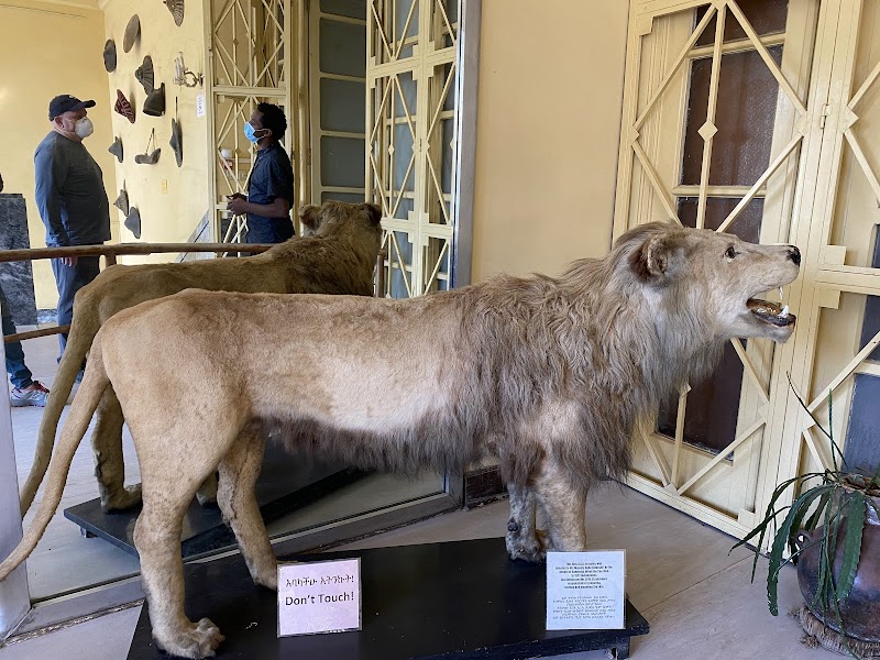 Ethnological Museum in Addis amama, Gulele  view 3