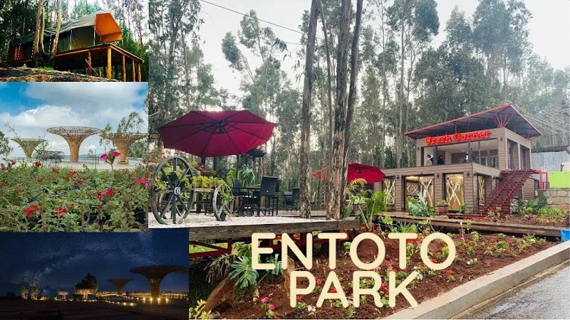 Entoto Park in Addis Ababa  view 5