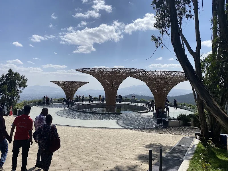 Entoto Park in Addis Ababa  view 3