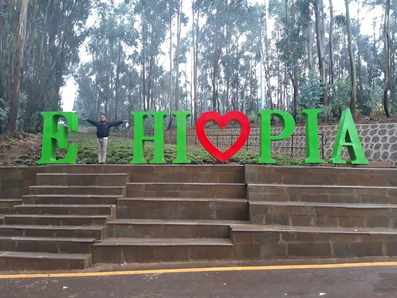 Entoto Park in Addis Ababa  view 2