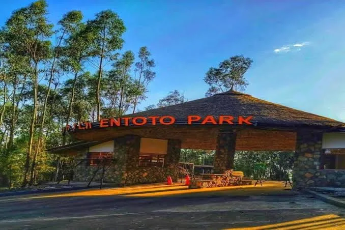 Entoto Park in Addis Ababa  view 4
