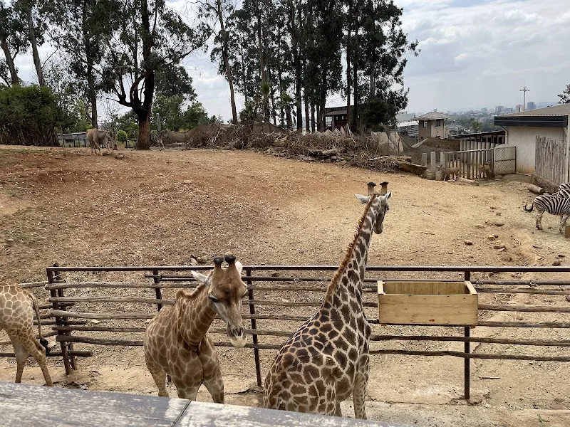 Unity Park Zoo