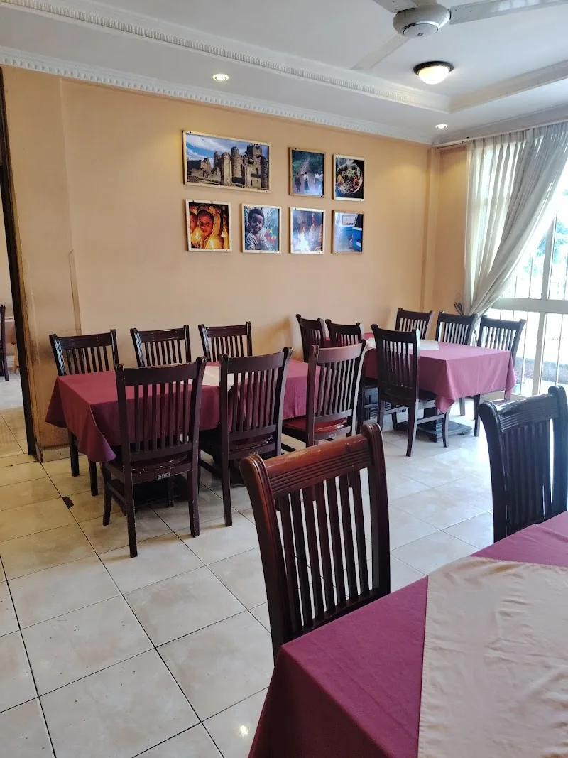 7ቱ ሃይቆች የህንድ ምግብ ቤት | 7 LAKES Indian Restaurant in Bishoftu  view 4