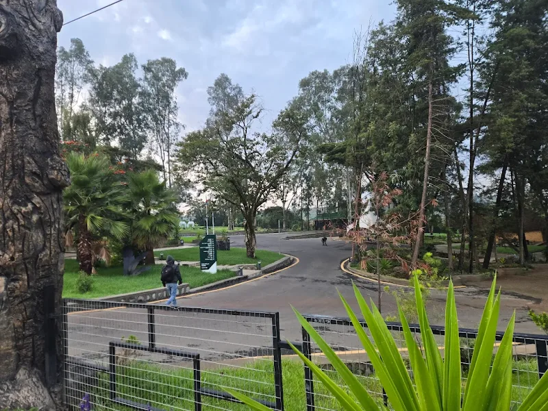 Bole Bulbula Park in Addis Ababa  view 2