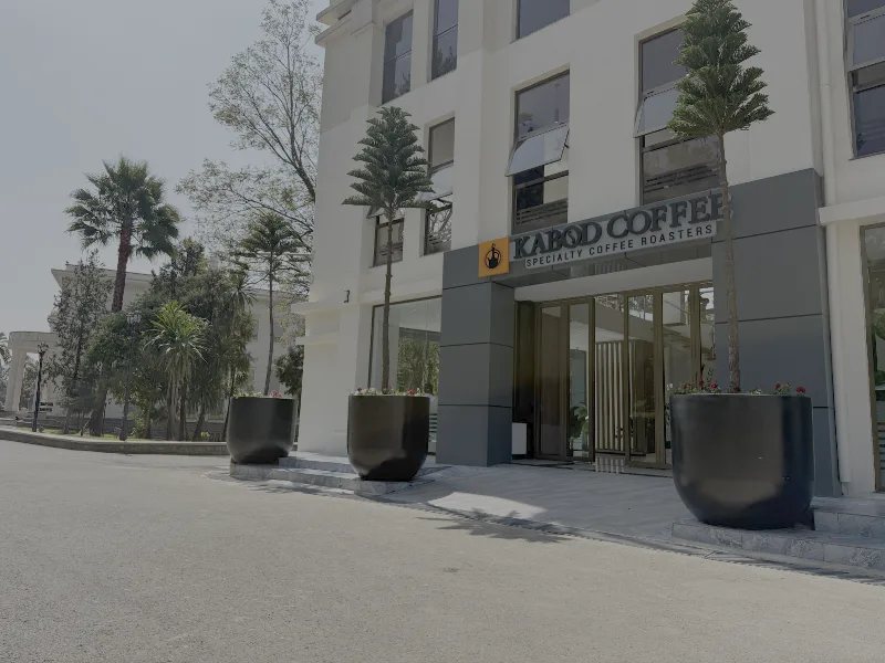 Kabod Coffee in Addis Ababa, Kirkos  view 5
