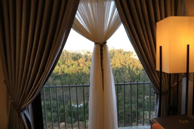 Elgel hotel and spa in Addis Ababa, Nefassilk Lafto  view 5