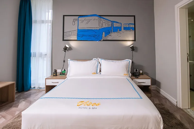 Vibes Hotel and Spa in Addis Ababa, Bole  view 4