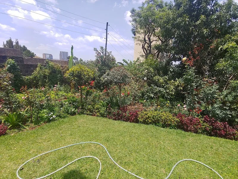 SIM Guest House in Addis Ababa, Lideta  view 4