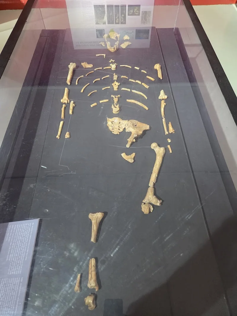 National Museum of Ethiopia in Addis Ababa, Arada  view 4