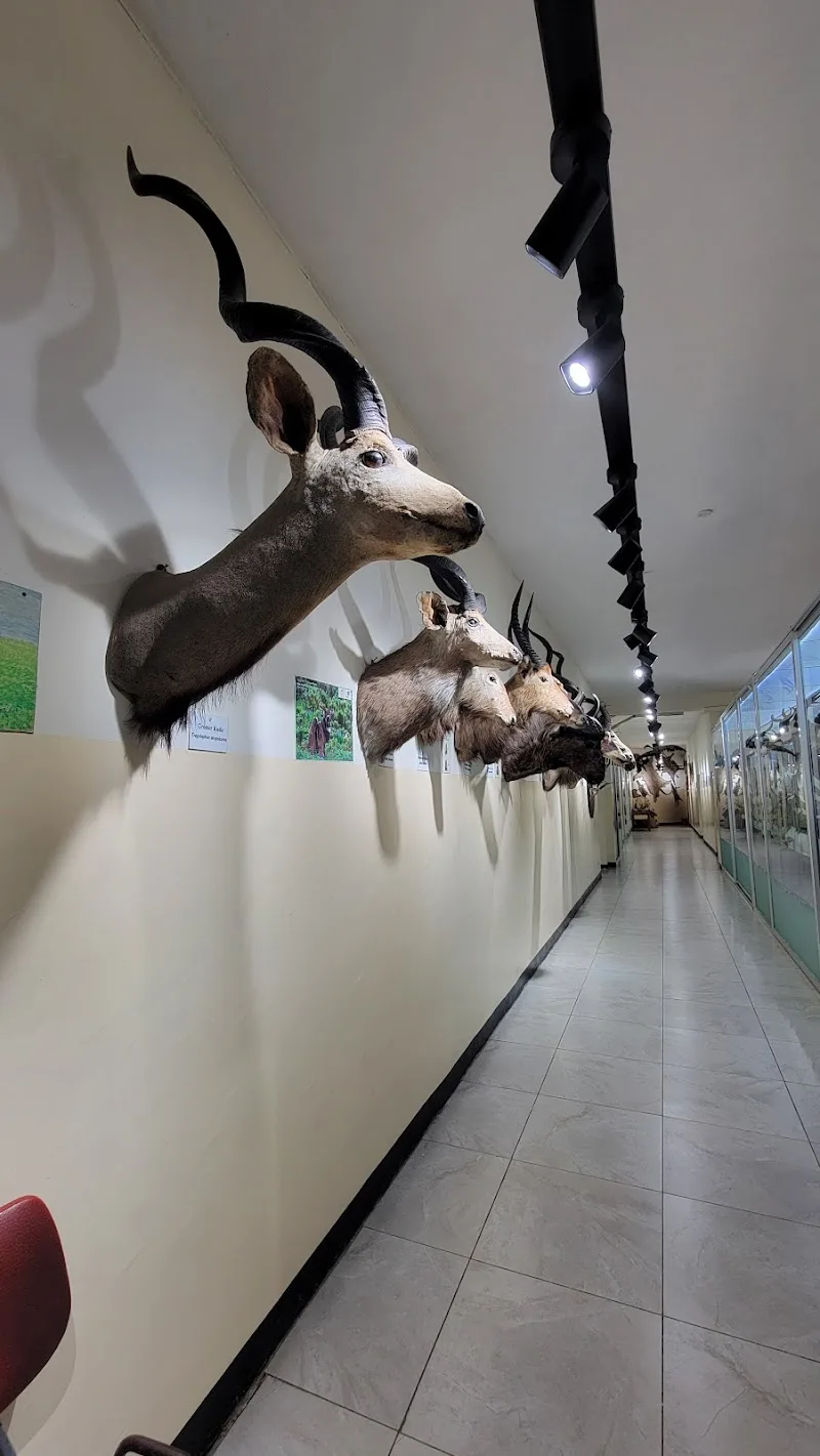 The Zoological Natural History Museum in Addis Ababa, Arada  view 3