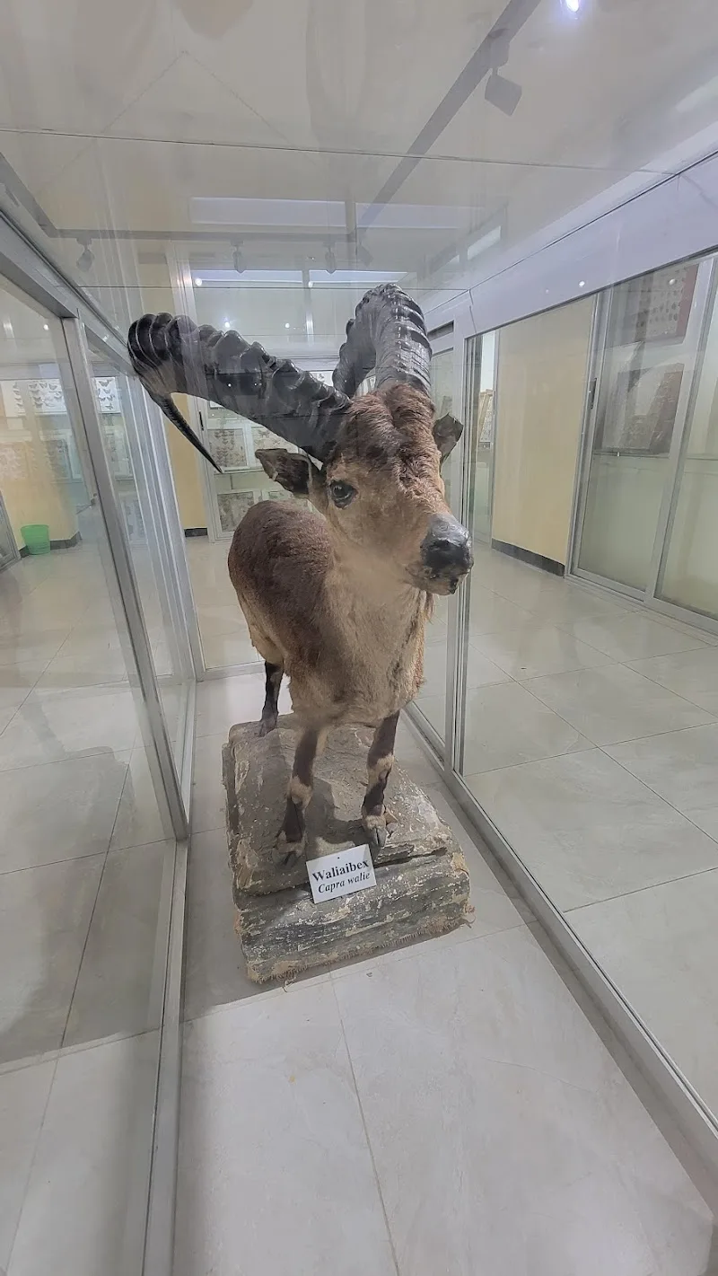 The Zoological Natural History Museum in Addis Ababa, Arada  view 5