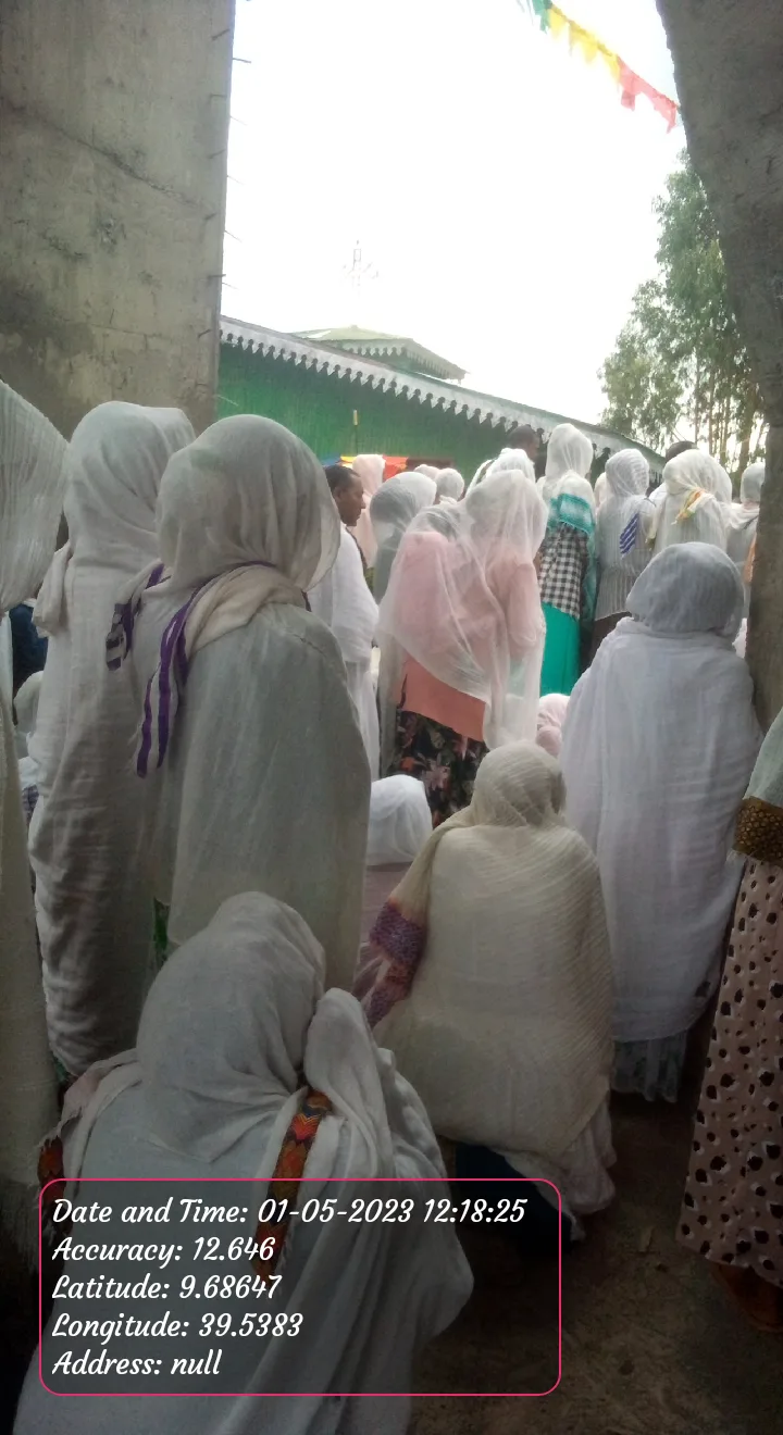 Saint George Cathedral in Debre Birhan  view 4