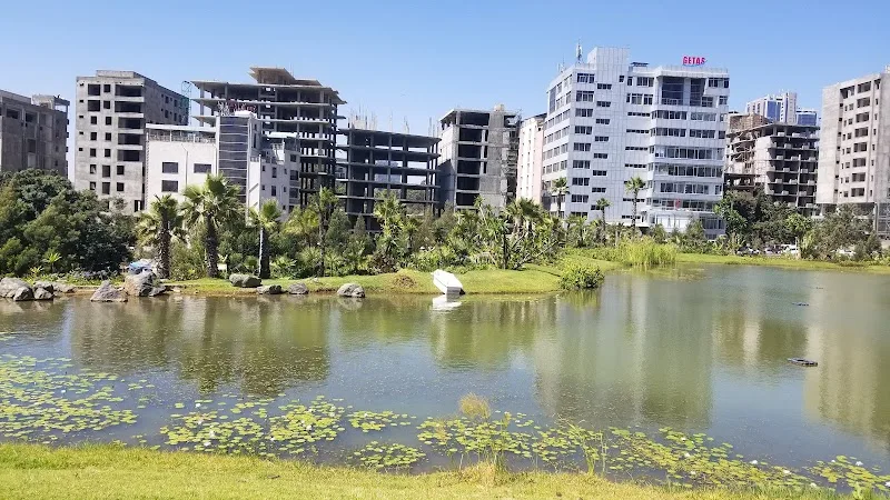 Sheger Lake in Addis Ababa, Kirkos  view 5