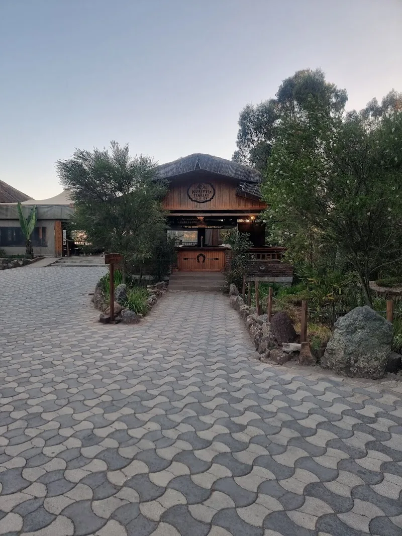 Entoto Fine Arts Center እንጦጦ የሥነጥበብ ማዕከል in 3PPQ+C8C  view 5