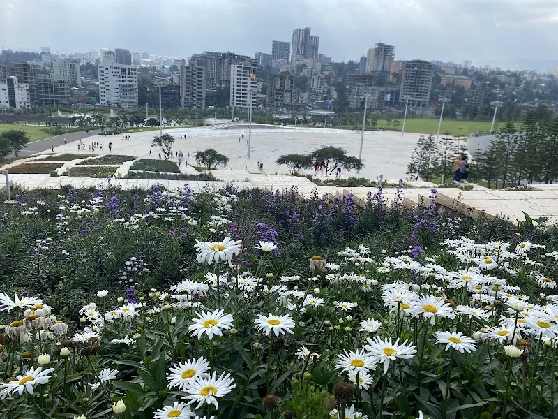 አዲስ ፓርክ | Addis ParkA in Addis Ababa, Arada  view 3