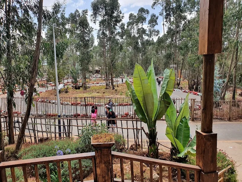 Entoto Park Gate Dilber (Adisu Gebeya Gates) in አዲስ አበባ, ጉለሌ  view 3