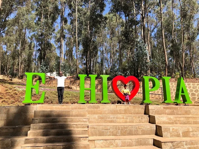 የእንጦጦ ፓርክ ቁስቋም መግብያ | Entoto Park Kuskuam Entrance in Addis Ababa, ጉለሌ  view 5