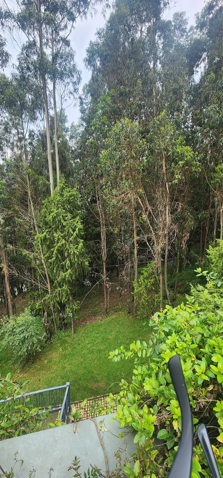 የእንጦጦ ፓርክ ቁስቋም መግብያ | Entoto Park Kuskuam Entrance in Addis Ababa, ጉለሌ  view 3