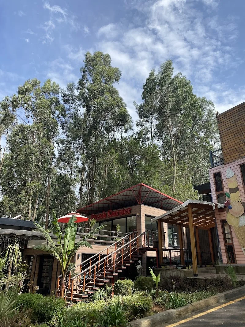 Fresh Corner, Entoto Park in Gulele 19/20/21  view 5