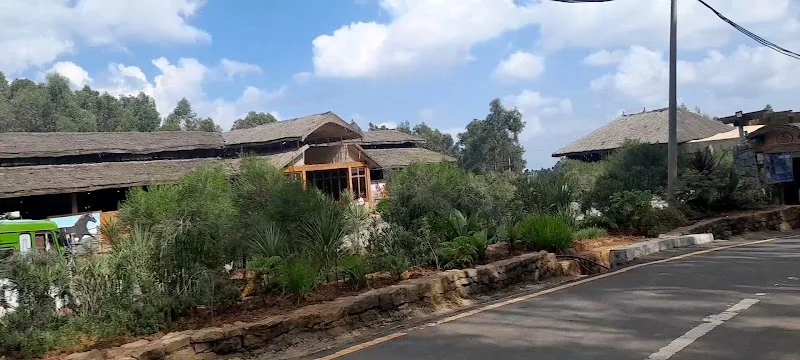 Entoto Park Kuriftu Trampoline in አዲስ አበባ, ጉለሌ  view 5