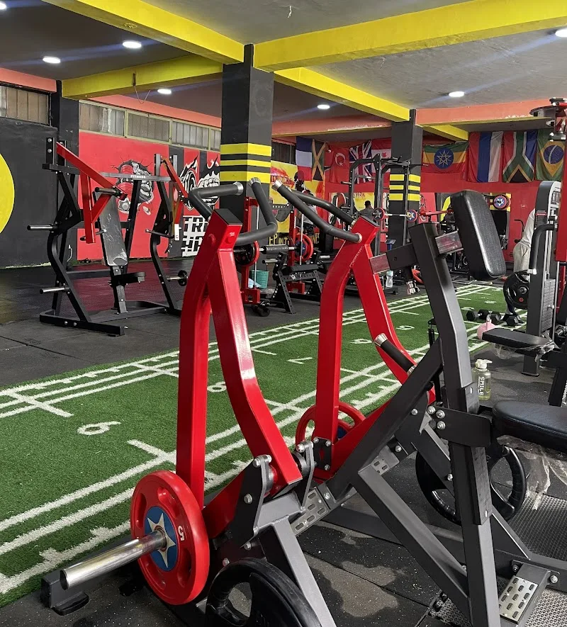 LionHeart Fitness in Addis Ababa, Arada  view 3
