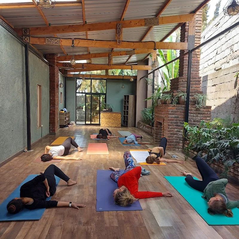Yoga Clinic | Yoga with Elham in Addis Ababa, Bole  view 2
