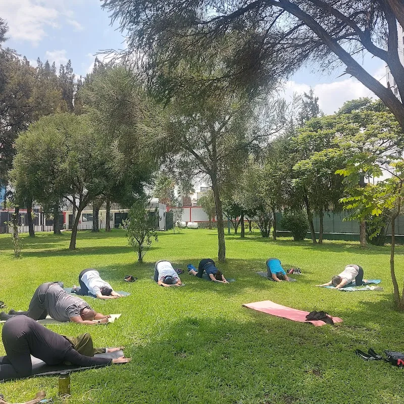 Yoga Clinic | Yoga with Elham in Addis Ababa, Bole  view 4