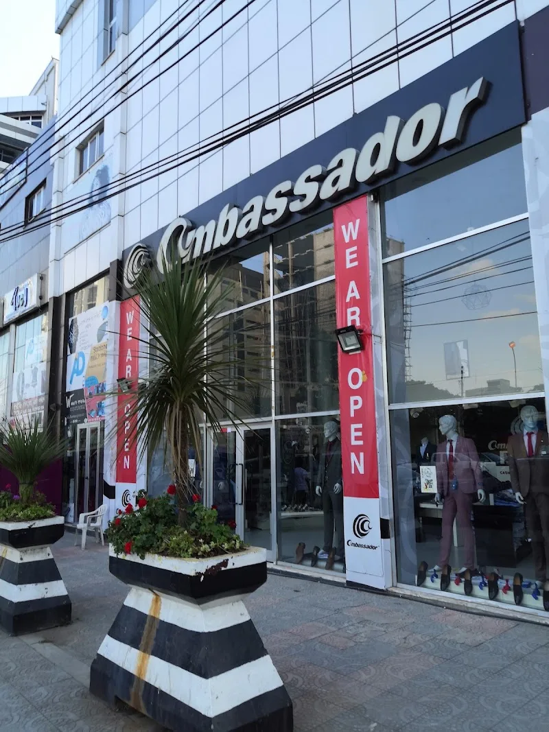 Sebastopol Cinema in Addis Ababa, Kirkos  view 4