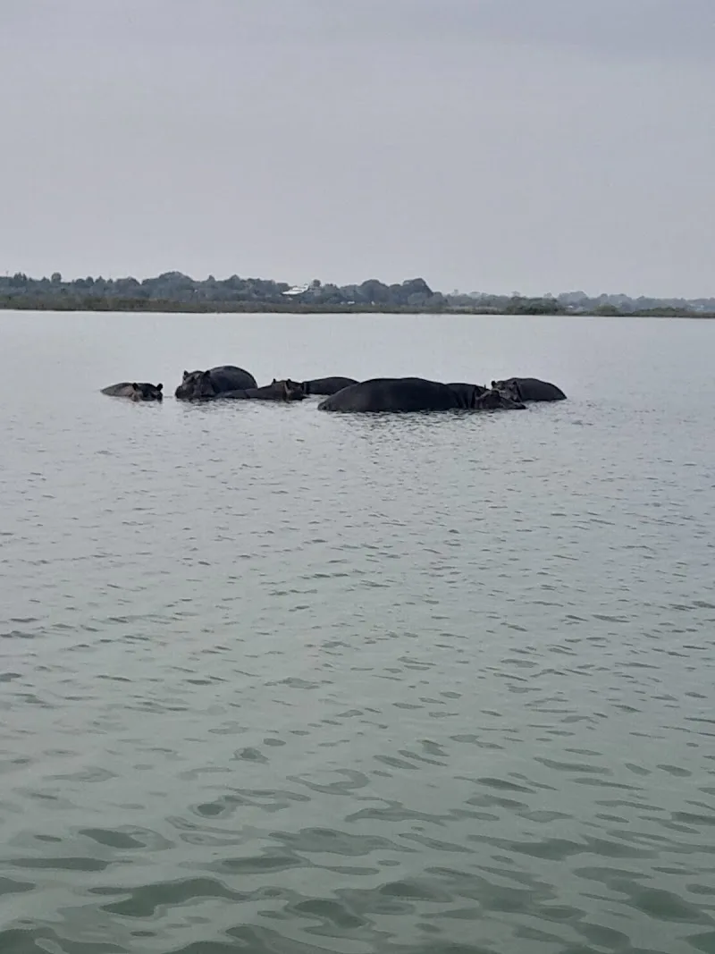 Lake Tana in Lake Tana  view 3