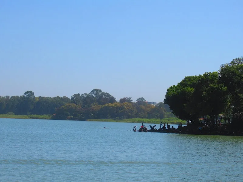 Lake Tana in Lake Tana  view 4