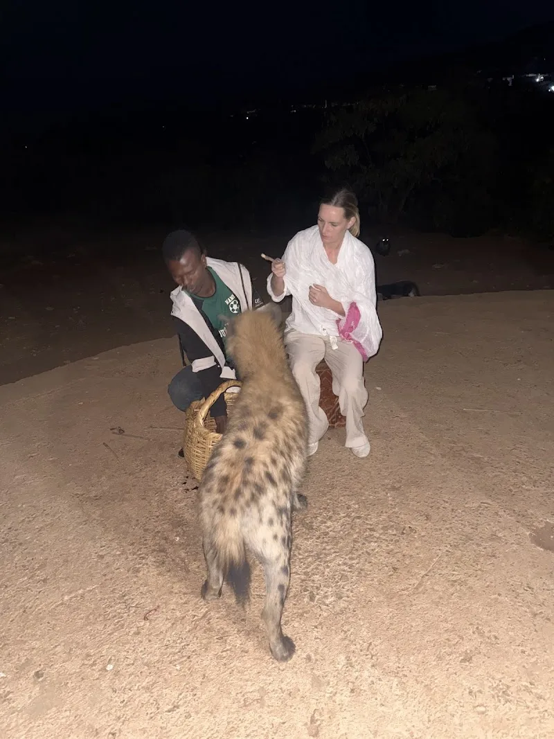 Hyena Feeding Site in Harar  view 3
