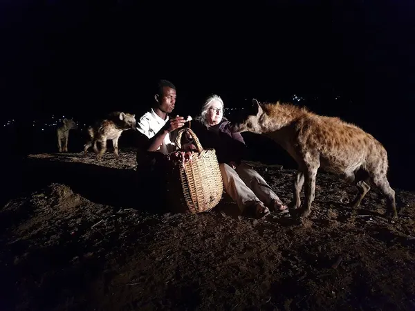 Hyena Feeding Site