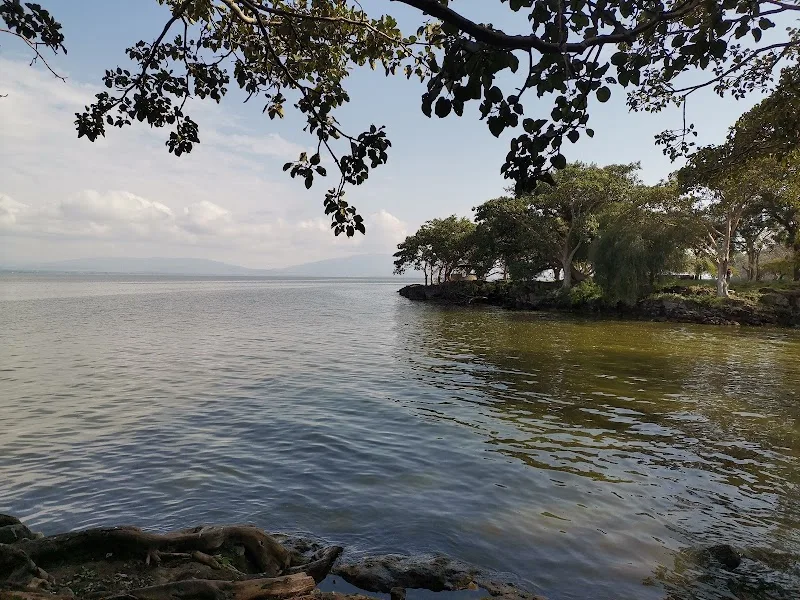 Lake Awasa in Lake Awasa  view 4