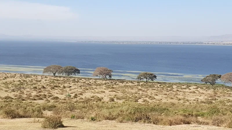 Lake Awasa in Lake Awasa  view 5