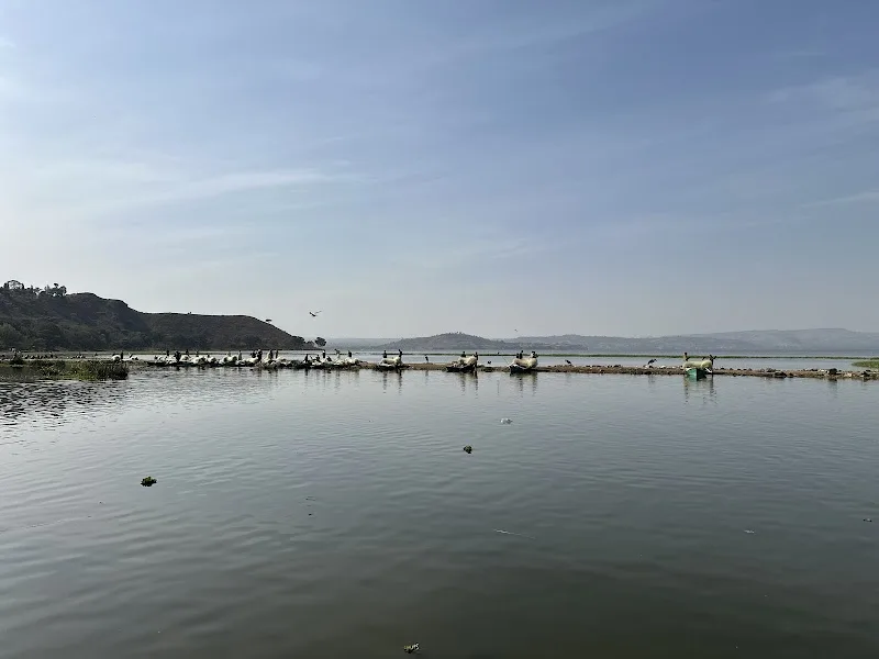 Hawassa Fish Market in አዋሳ  view 3