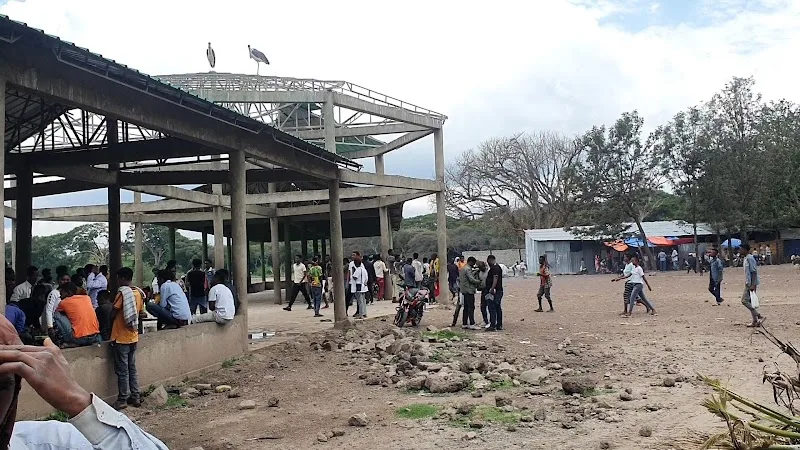 Hawassa Fish Market in አዋሳ  view 4
