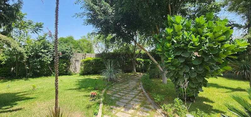 Ashara Guest house in Hawassa  view 4